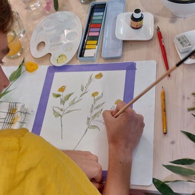 creatieve workshops botanisch tekenen en schilderen